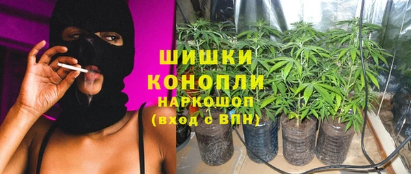 винт Армянск