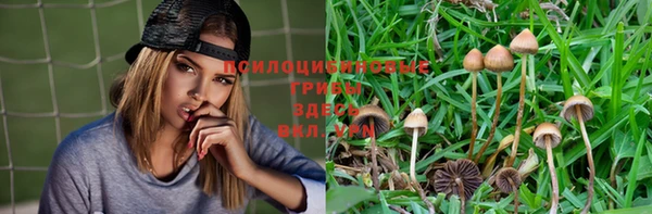 прущие крисы Арсеньев