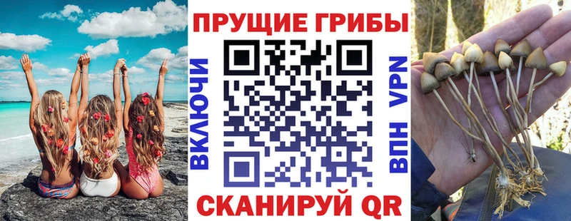 Псилоцибиновые грибы MAGIC MUSHROOMS  Луховицы 