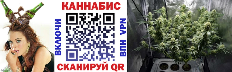 Шишки марихуана планчик  Луховицы 